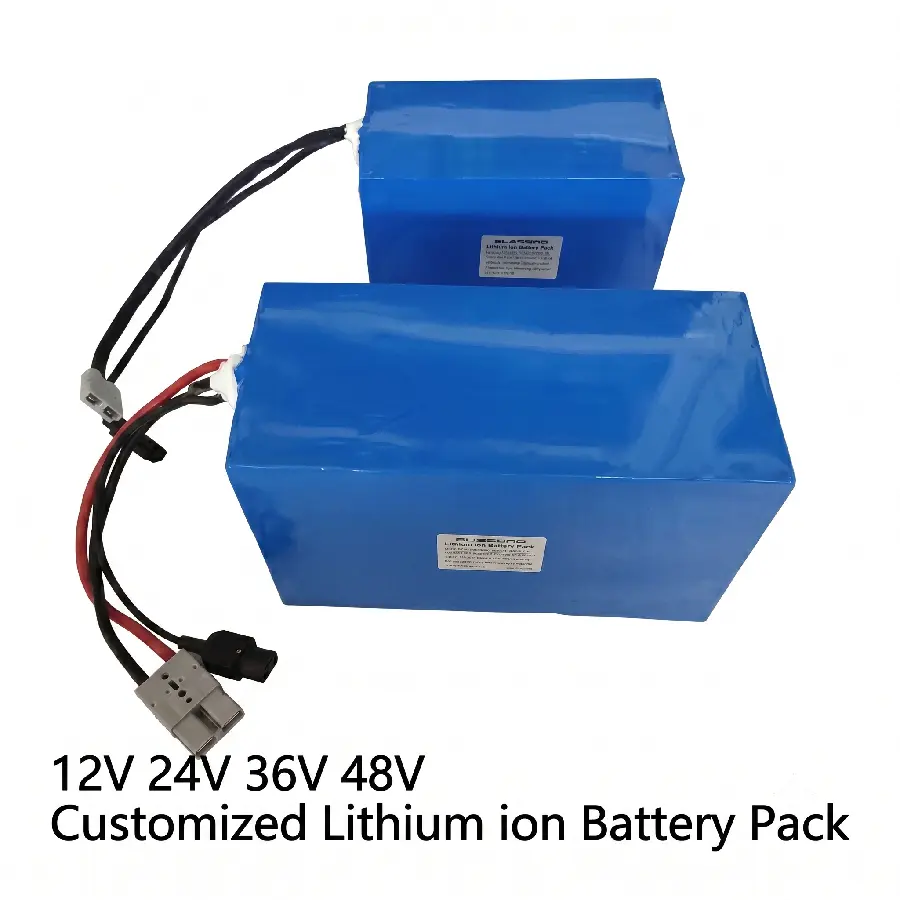 Maßgeschneidertes 48V-Wiederaufladbares Lithium-Batteriepaket für intelligente Roboter mit BMS-Schutz