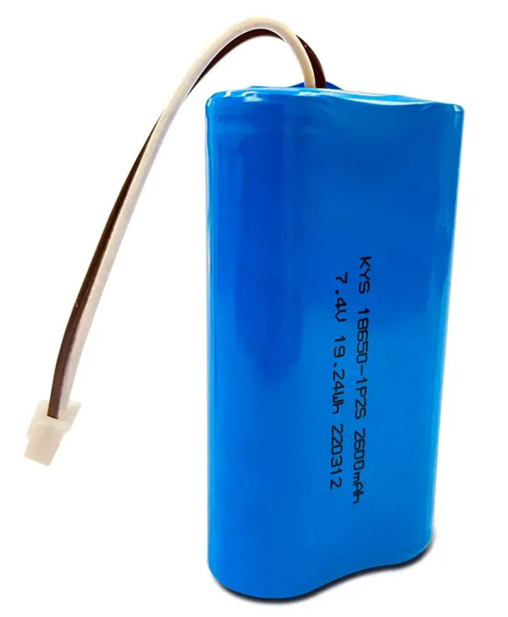 Industrial Wide Temp Batterie
