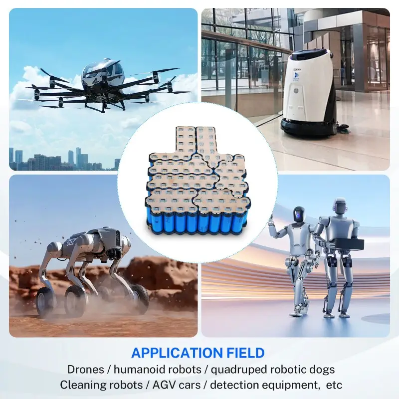 Zuverlässiges 30-Ah-Leistungsmodul für industrielle humanoide Roboteranwendungen