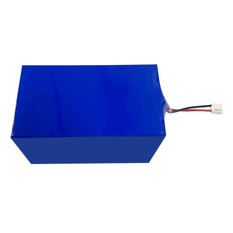 Maßgeschneidertes 24V-Lithium-Ionen-Batteriepaket für elektrische Gartenwerkzeuge